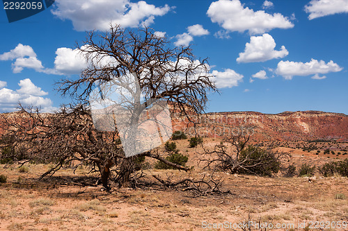 Image of Colorful New Mexico