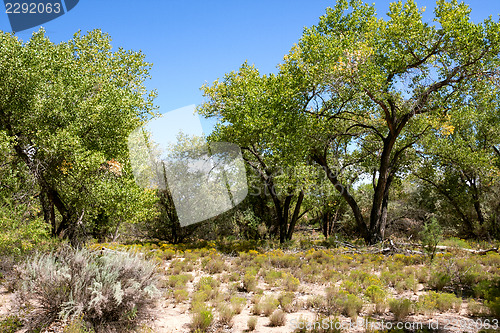 Image of Impressive and scenic landscape in New Mexico