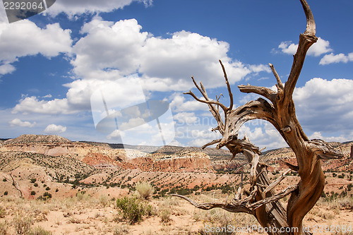 Image of Colorful New Mexico