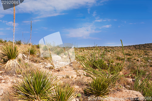 Image of Impressive and scenic landscape in New Mexico