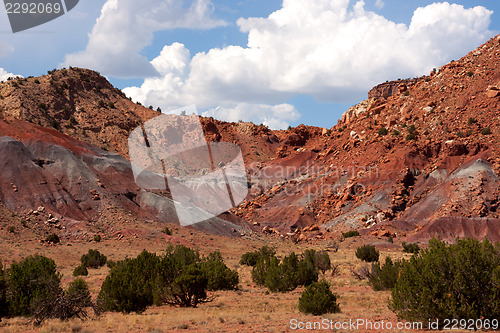 Image of Colorful New Mexico