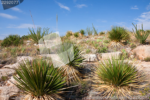 Image of Impressive and scenic landscape in New Mexico