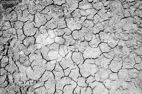 Image of Natural texture