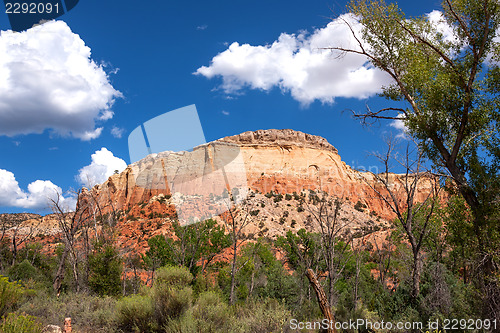 Image of Colorful New Mexico