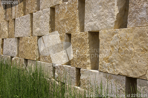 Image of Natural wall and grass
