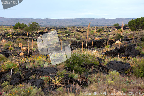 Image of Impressive and scenic landscape in New Mexico