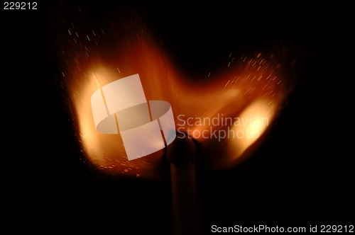 Image of burn tulip