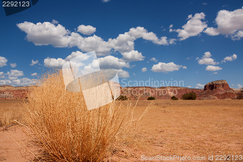 Image of Colorful New Mexico
