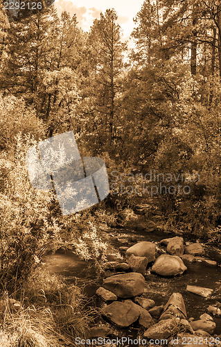 Image of Vintage look pictures of Jemez River in New Mexico