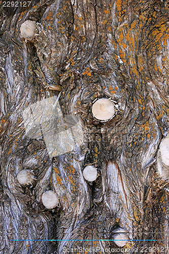 Image of Natural texture