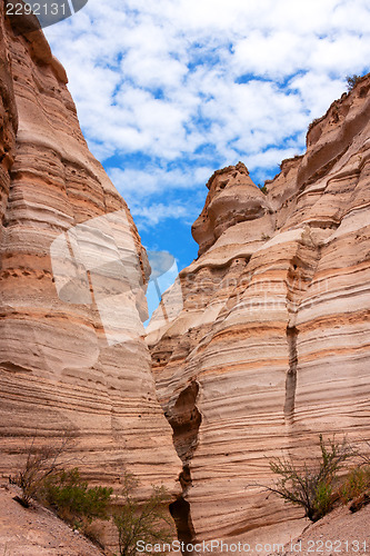 Image of More treasures of New Mexico