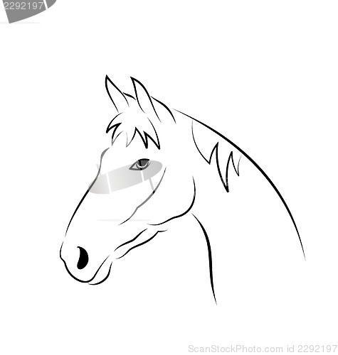 Image of Outline head horse isolated on white background