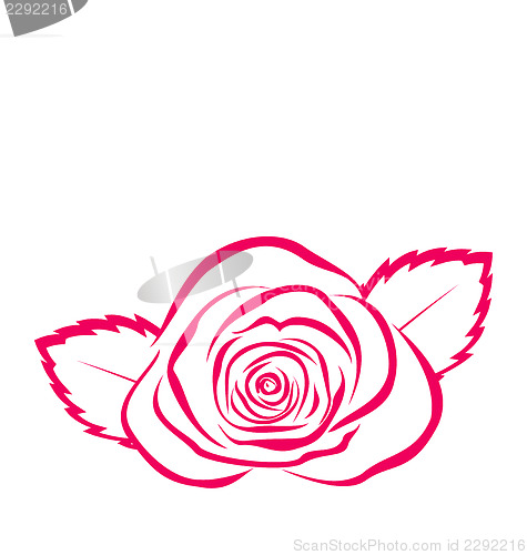 Image of Rose in hand drawn style isolated on white background