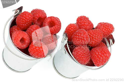 Image of Buckets with Raspberries