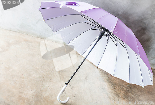 Image of Purple silver bronze uv protection umbrella on the floor