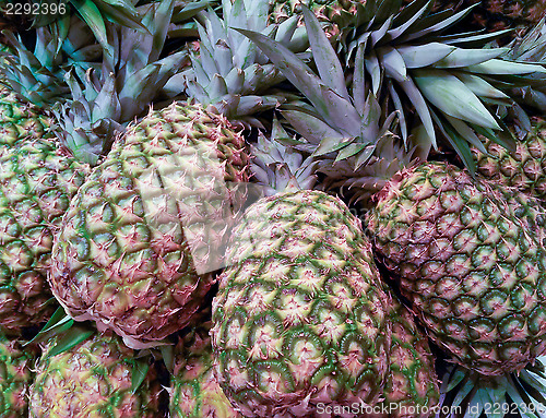 Image of Pineapples