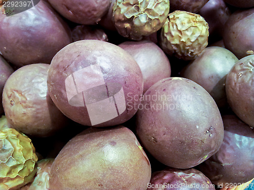 Image of Passion fruit