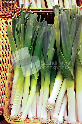 Image of Leek onions