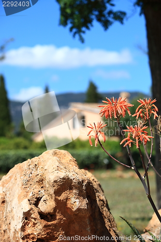 Image of Rock and garden