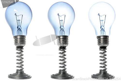 Image of Bulbs