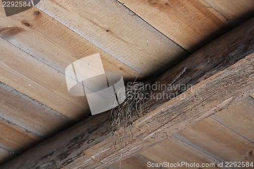 Image of nest of swallow in room