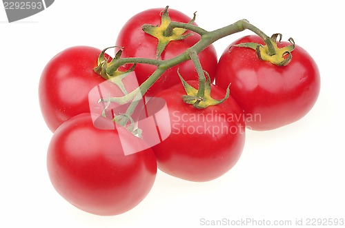 Image of Ripe tomato