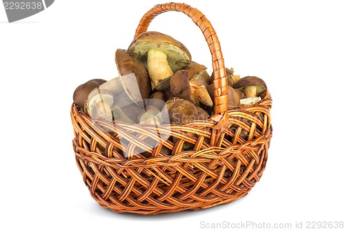 Image of Wicker basket with cepe mushrooms