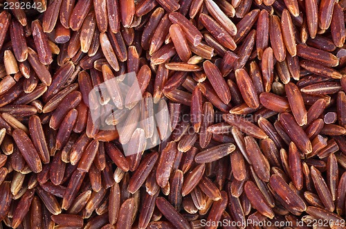 Image of Red rice background