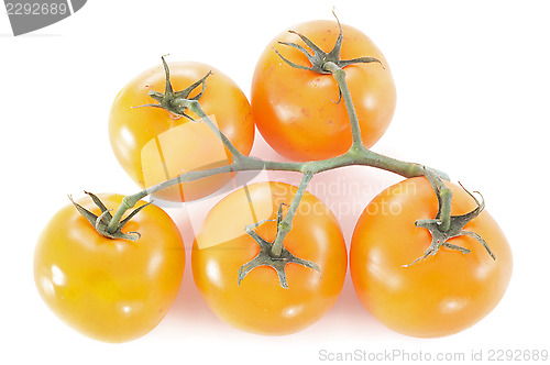 Image of orange tomatoes