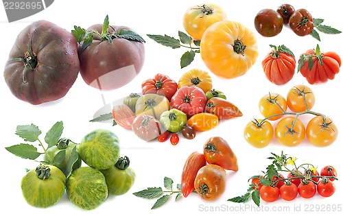 Image of ancient varieties of tomatoes