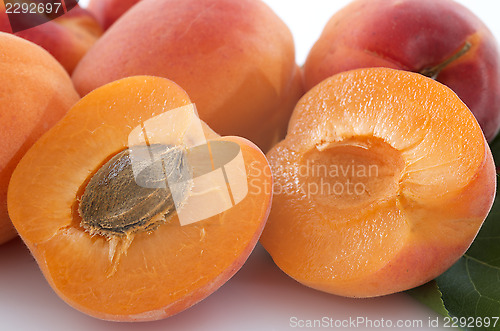Image of apricots