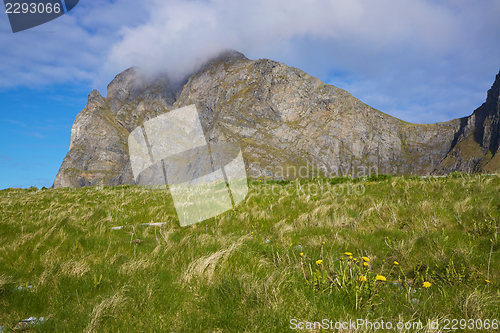 Image of Coastal cliff