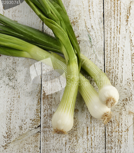 Image of Green Onion