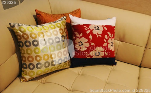 Image of Pillows on a leather sofa