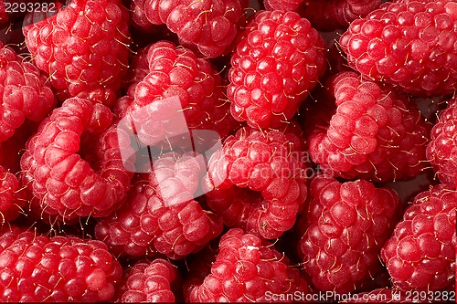 Image of raspberry background