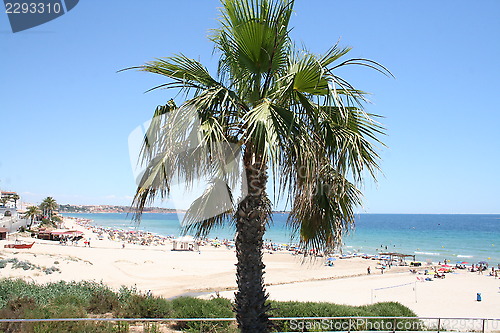 Image of View from Costa Blanca