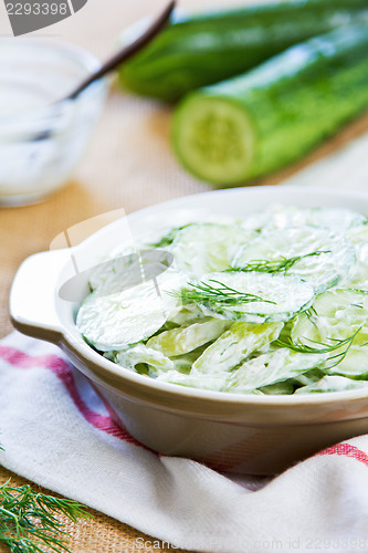 Image of Cucumber with Celery and Dill salad