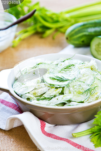 Image of Cucumber with Celery and Dill salad