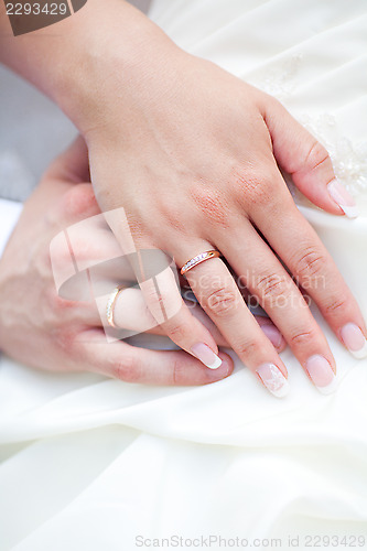Image of The bride and groom hands together