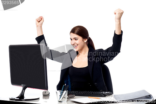 Image of Successful business executive