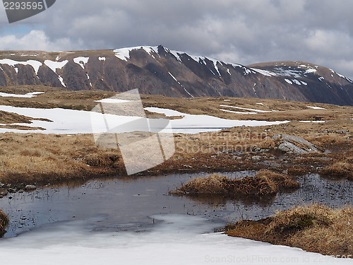 Image of Cairngorms plateau south of Braeriach, Scotland in spring