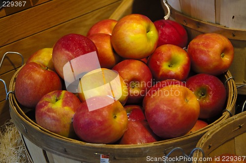 Image of Basket of Apples