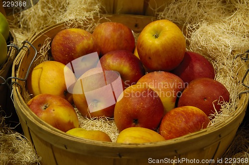 Image of Basket of Apples