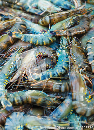 Image of Shrimps for sale on the market close up