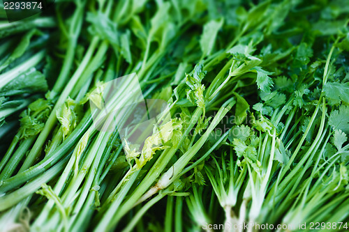Image of Herbs on market close up