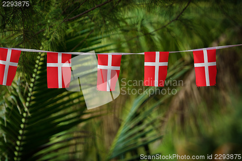 Image of Small Danish flags decorate tropical palms in Thailand