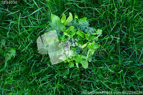 Image of food greens