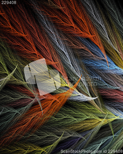 Image of Multi Coloured Feathers