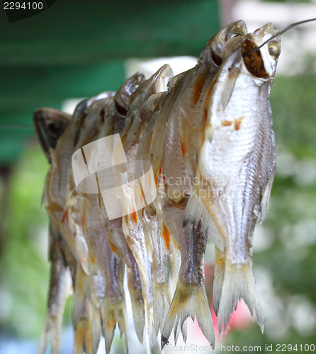 Image of Dried fish 