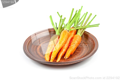 Image of carrot vegetable with leaves in brown plate